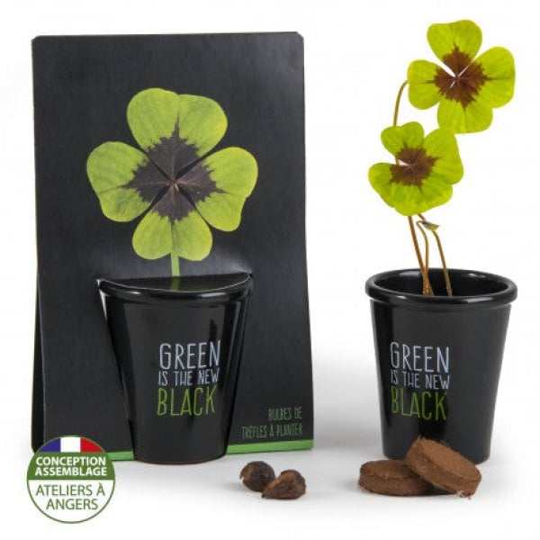 Kit de plantation black - Trèfle 4 feuilles personnalisable