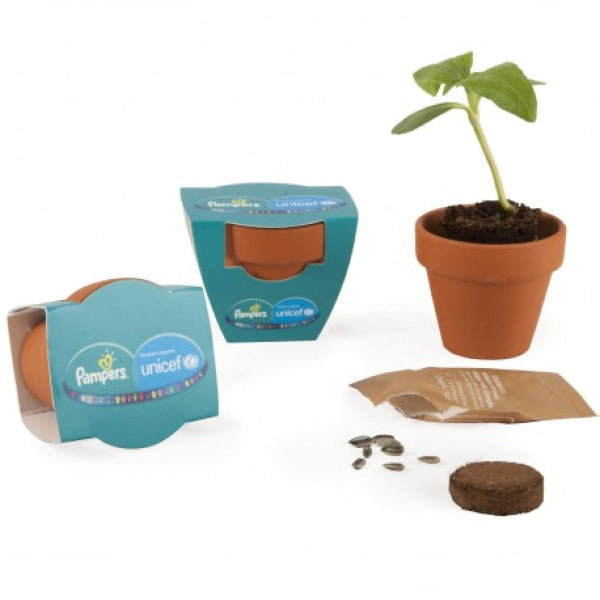 Cadeaux BTOB, primes : Kit de Plantation dans un Pot en Terre Cuite de 10 cm